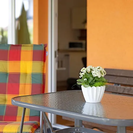 Barbara 梅尔斯堡